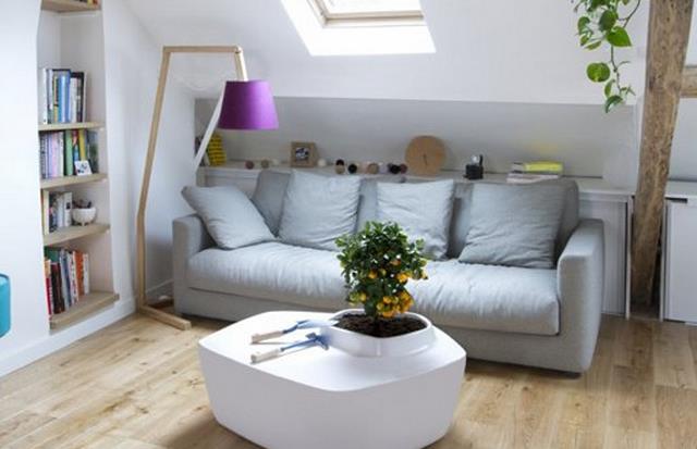 “生態家居”新趨勢 水性硅藻涂料引領裝修熱潮.jpg