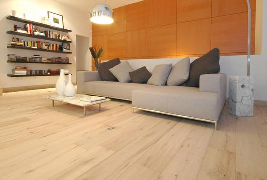 世友實(shí)木地?zé)嵬酰_(kāi)創(chuàng)技術(shù)先河 .jpg