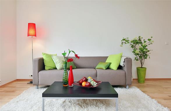 解讀：地板企業“上新”的背后