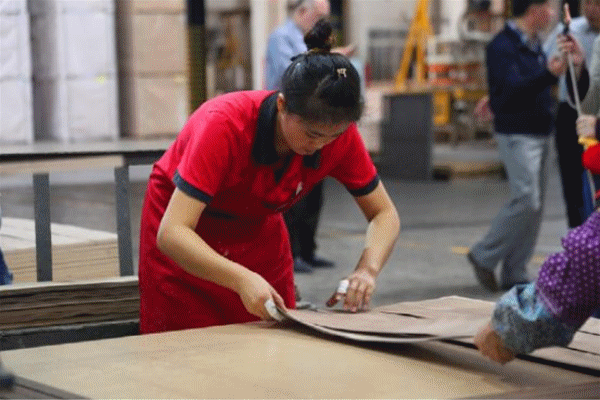 國家林業局、CCTV等專家媒體團走進生活家