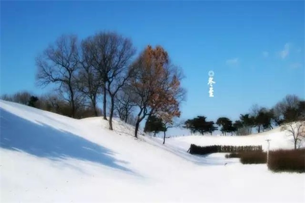 冬至如期而至,你是否如約而至? 冬至如期而至,你是否如約而至?