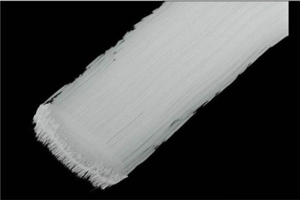 美報:白色涂料或可緩解城市熱島效應 美報:白色涂料或可緩解城市熱島效應