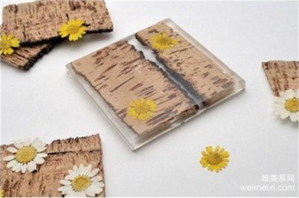 大自然設計工坊，聽“新設計思想的傳播者”