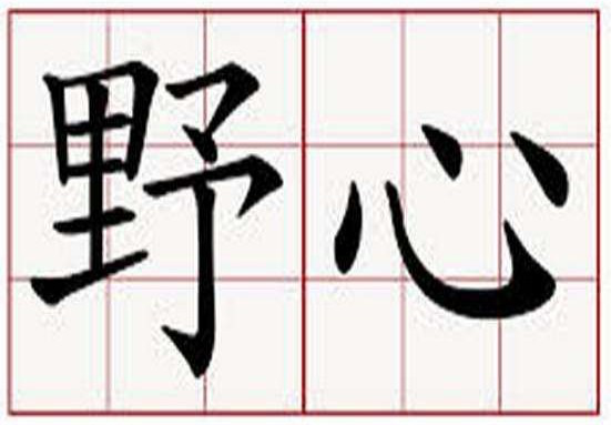 匹配男人的野心，大自然首推野生原木二翅豆地板！