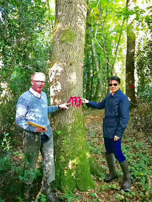 大自然木門成為《設計夢想家》唯一指定木門類合作品牌！