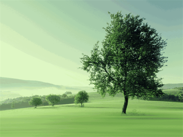 2018生活家年會(huì)產(chǎn)品關(guān)鍵詞：國際化！年輕化！