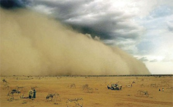 大自然家居挺進阿拉善,揭開神秘的面紗 大自然家居挺進阿拉善,揭開神秘的面紗