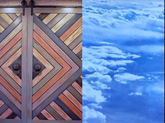 陽光灑在枝蔓上 投下斑駁的影子 天花的時間印記 融于空間本身 空間隨著時間變化 隨著陽光生長 它 是有生命的