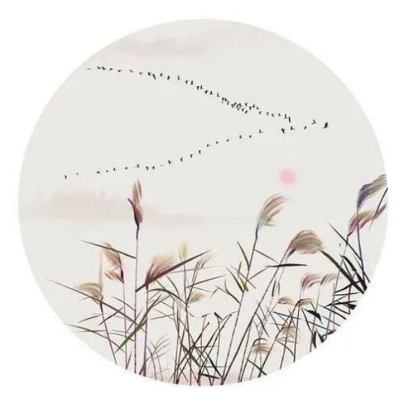 美約風(fēng)家居之家居設(shè)計美學(xué)探微（之四） ——錯彩鏤金&初發(fā)芙蓉857.jpg