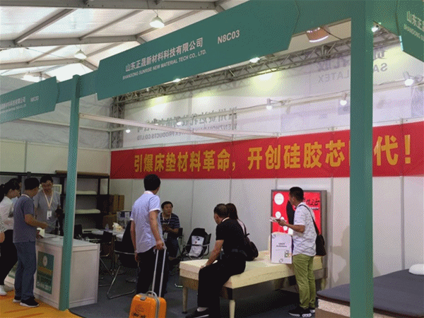 正晟：匠心36載，開創軟體行業的硅膠時代！